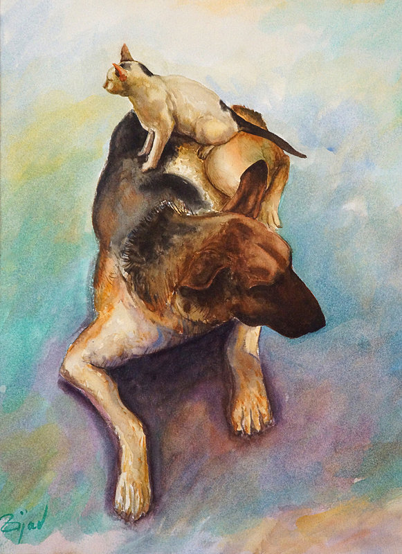 Akvarell Hund och Katt av Zijad Mehmedovic