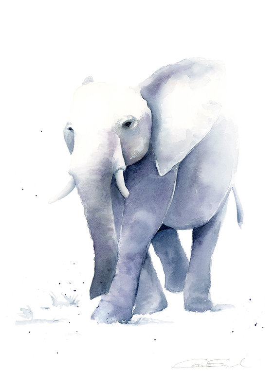 Akvarell Elefant av Cora Eklund