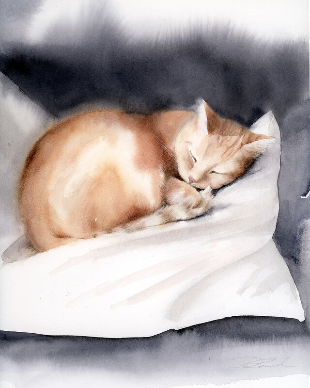 Akvarell Sömnig katt av Cora Eklund