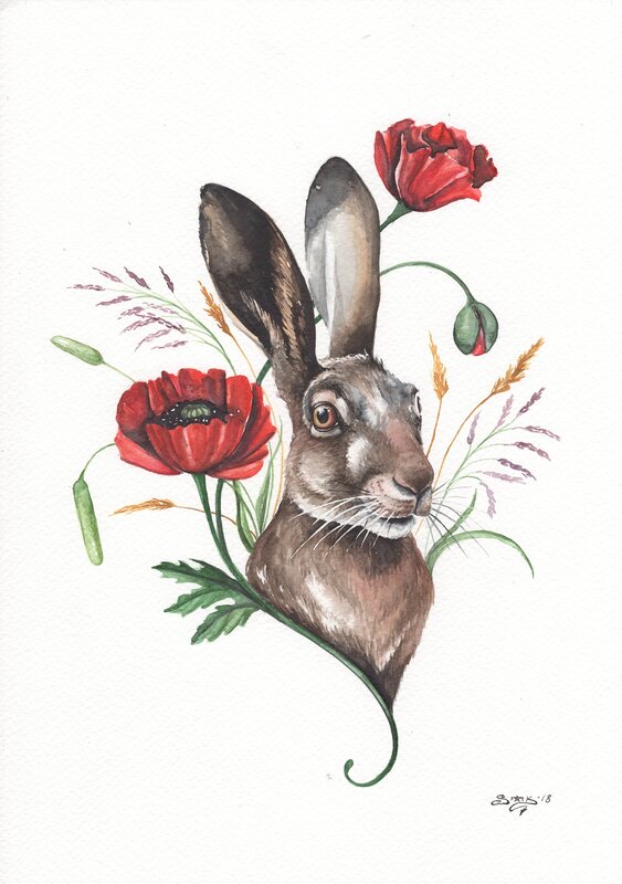Akvarell Hare av Emma Stark
