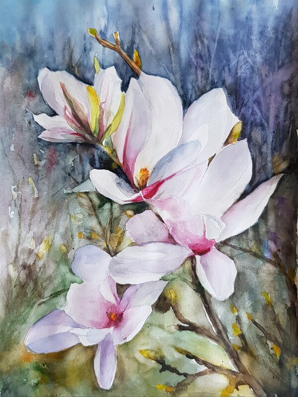 Akvarell Magnolia av Bo Wiktorsson