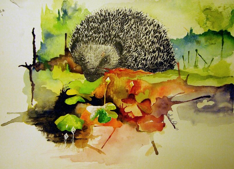 Akvarell Hedgehog on a walk av Linda Colm