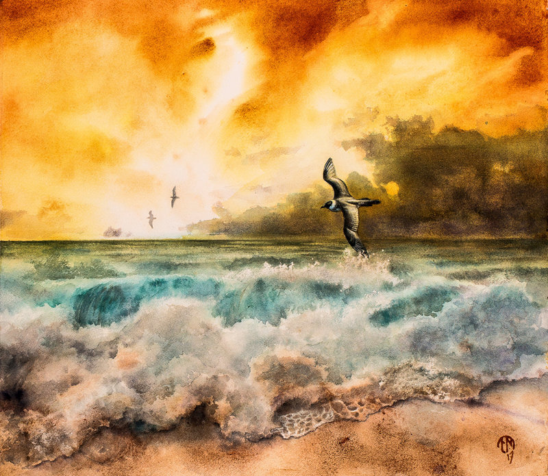 Akvarell Stormvågor - Bredstjärtad labb av Frida Nettelbladt