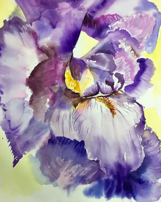 Akvarell Purple Iris av Tanya Lundmark