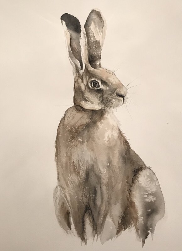 Akvarell Vilande hare av Ingela Matsson
