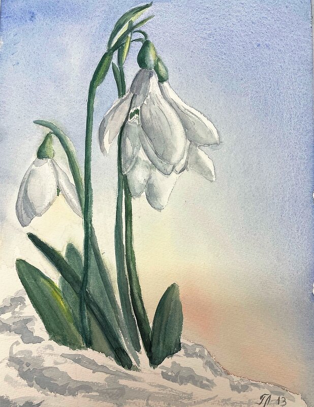 Akvarell Snödroppar av Tanya Lundmark