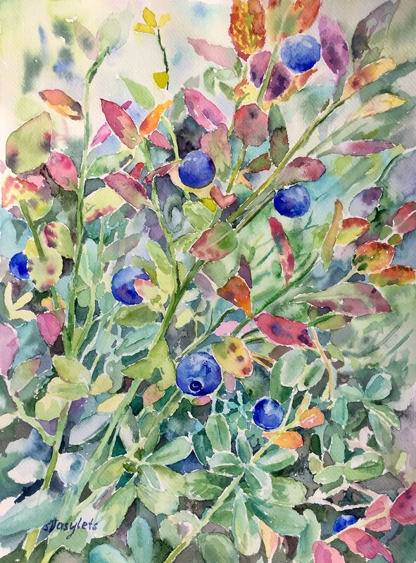 Akvarell Sista blåbär av Svitlana Vasylets