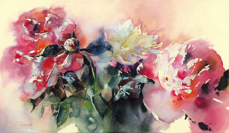 Akvarell Rosa pioner av Olga Sternyk