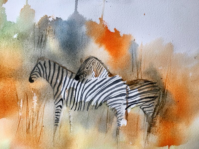 Akvarell Zebror av Gunilla Tuvin