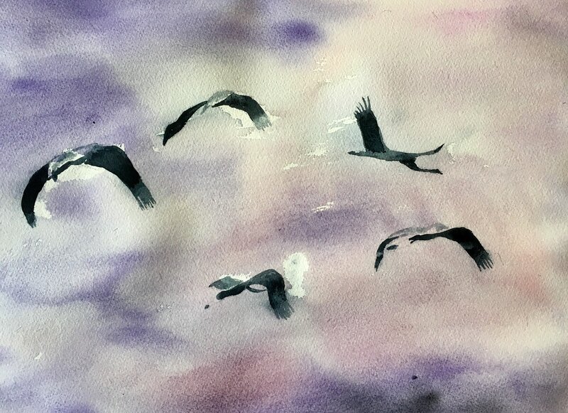 Akvarell Rovfåglar av Gunilla Tuvin