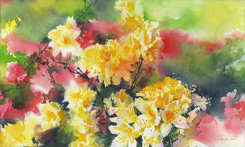 Akvarell Kermesina Rosea, Japansk Azalea av Olga Sternyk