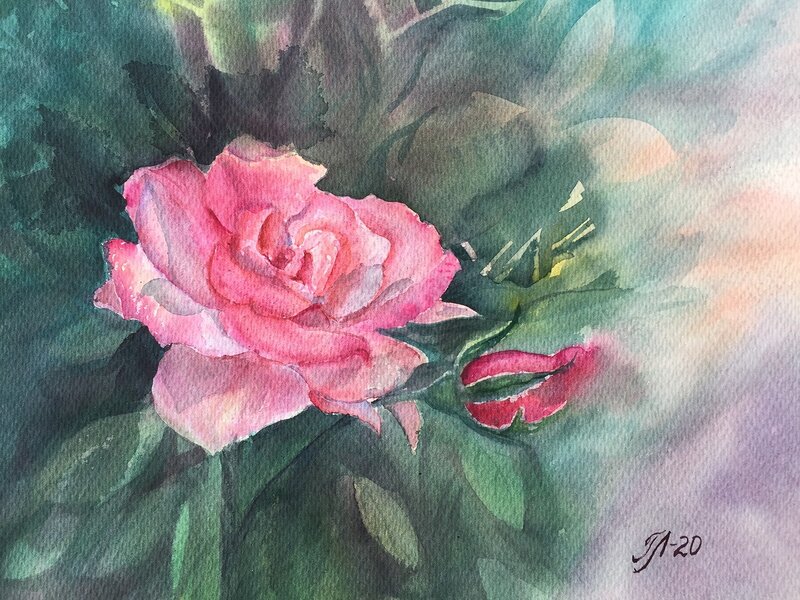 Akvarell En ros av Tanya Lundmark