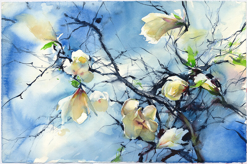 Akvarell Den vita magnoliaen av Olga Sternyk