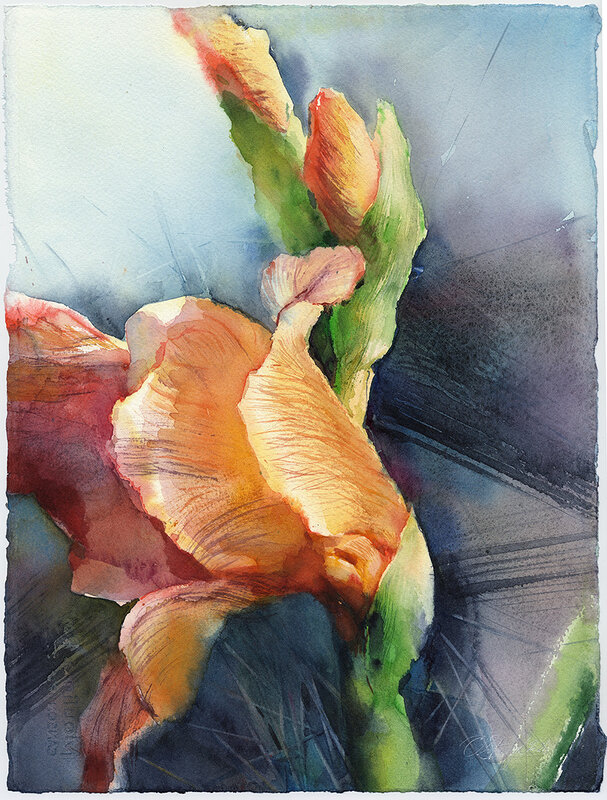 Akvarell Gladiolus av Olga Sternyk