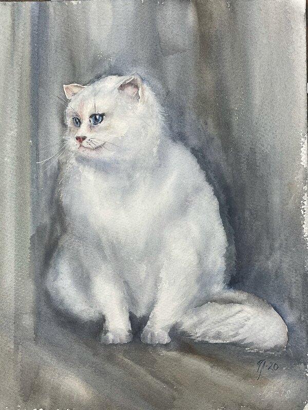 Akvarell Den vita katten av Tanya Lundmark