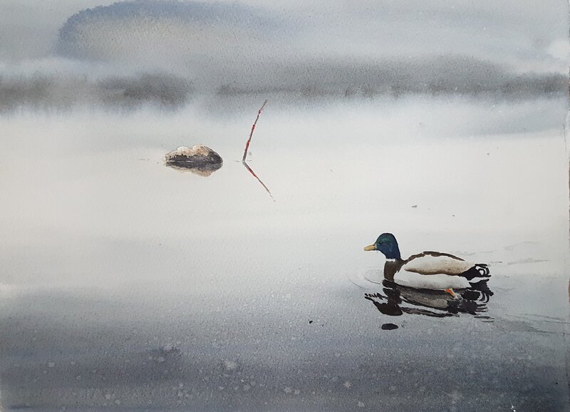 Akvarell Lonely Duck av Nina Laestander