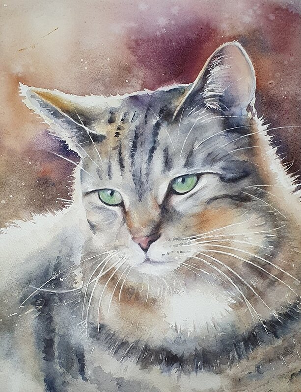 Akvarell Katt med röd bakgrund av Lena Kalenius