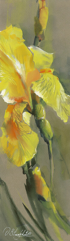 Akvarell Gul Iris av Olga Sternyk