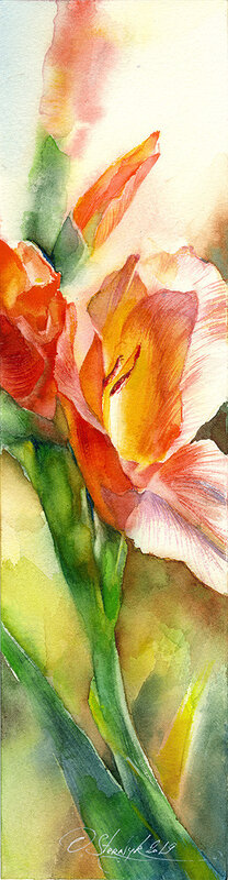 Akvarell Orange gladiolus av Olga Sternyk