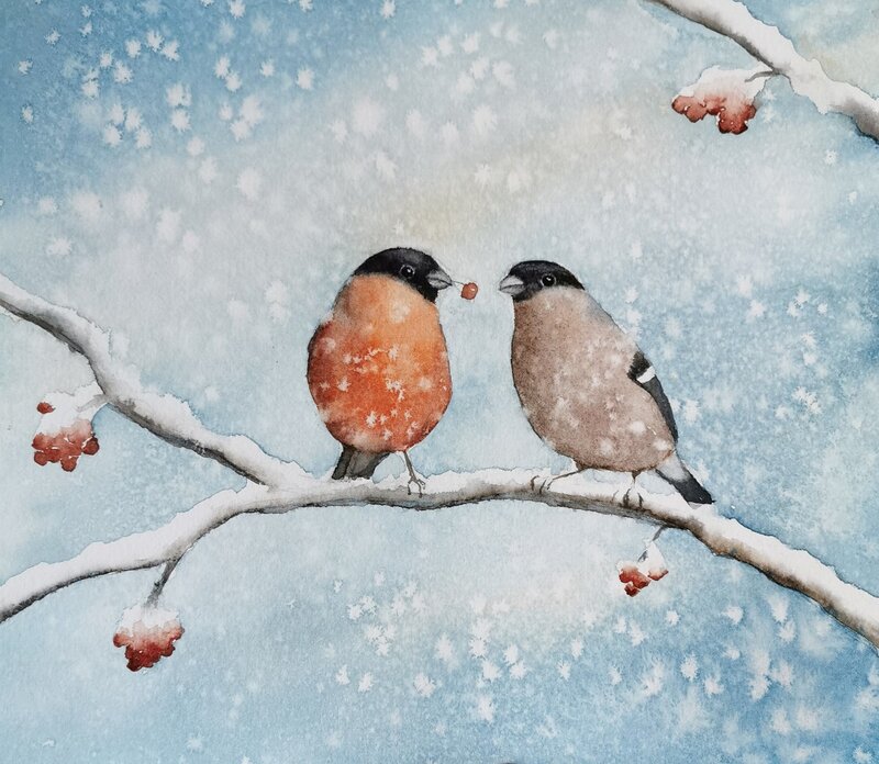 Akvarell Domherrar i snöfall av Hanna Grahm