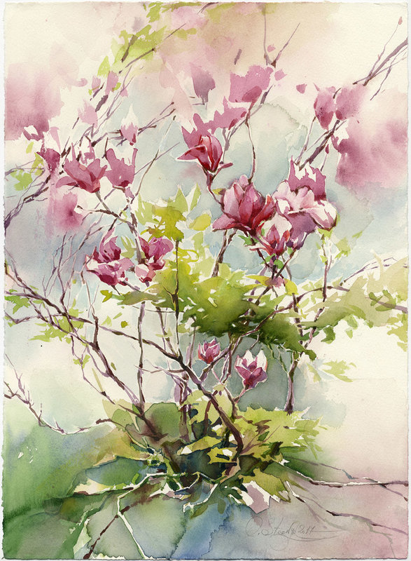 Akvarell Magnolia träd. Prints på akvarell papper av Olga Sternyk