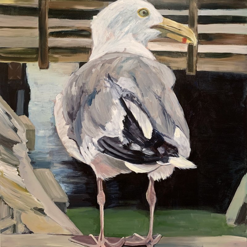 Akrylmålning Seagull in San Diego av Sophie Irebring