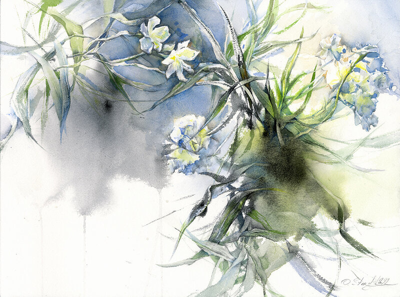 Akvarell Vit oleander av Olga Sternyk