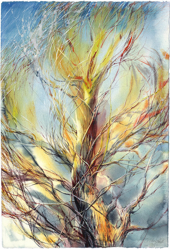 Akvarell Trädet från fönstret av Olga Sternyk