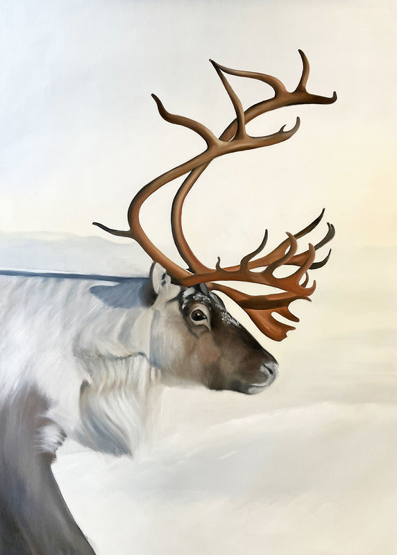 Oljemålning Winterlight reindeer, Sofia Ohlsén