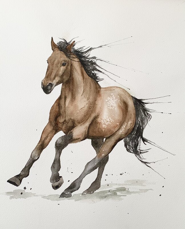 Akvarell Häst i rörelse av Ingela Matsson
