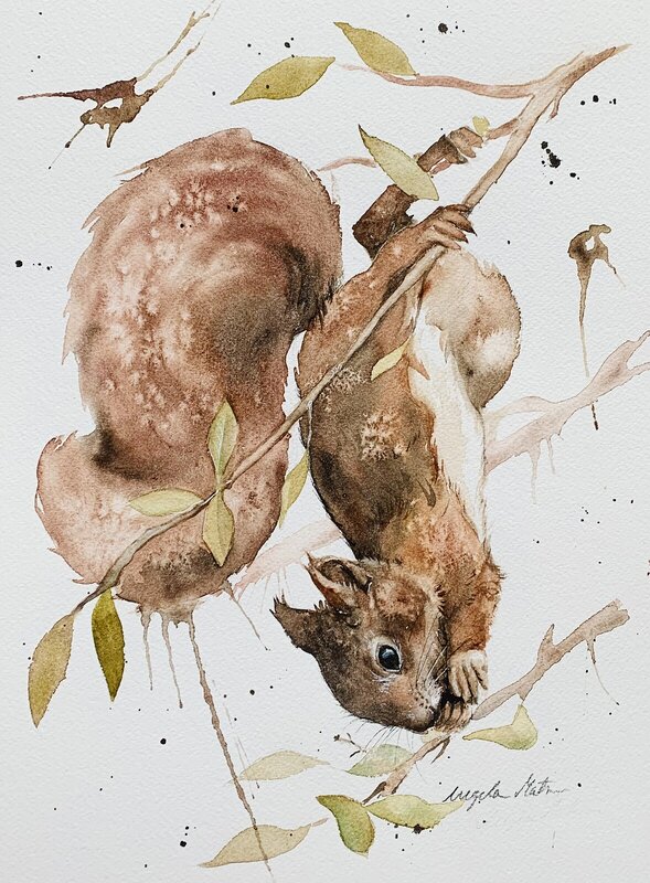 Akvarell Ekorre i trädet av Ingela Matsson