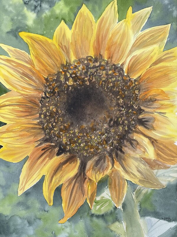 Akvarell Sunflower av Kristina Dunér