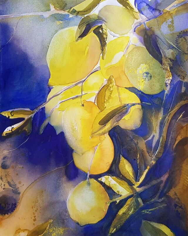Akvarell Citroner av AnnMari Löf