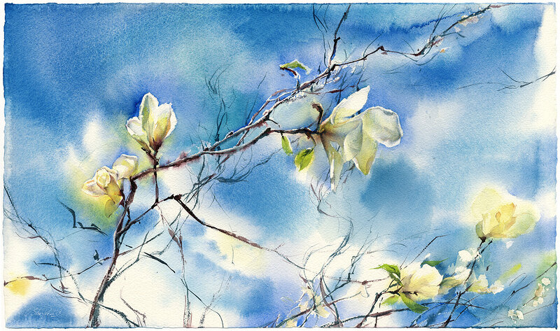 Akvarell Magnolia 1 av Olga Sternyk