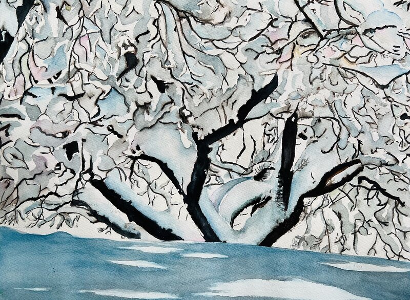 Akvarell Snötyngt träd av Ewa Helzen