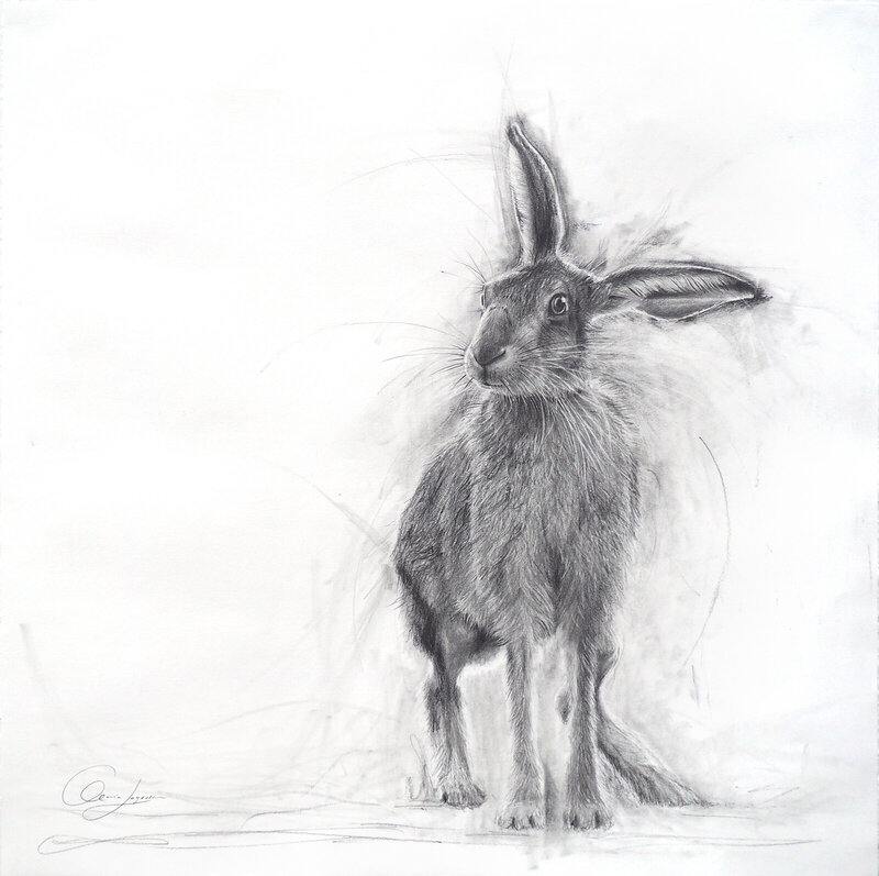 Hare av Maria Lagesson