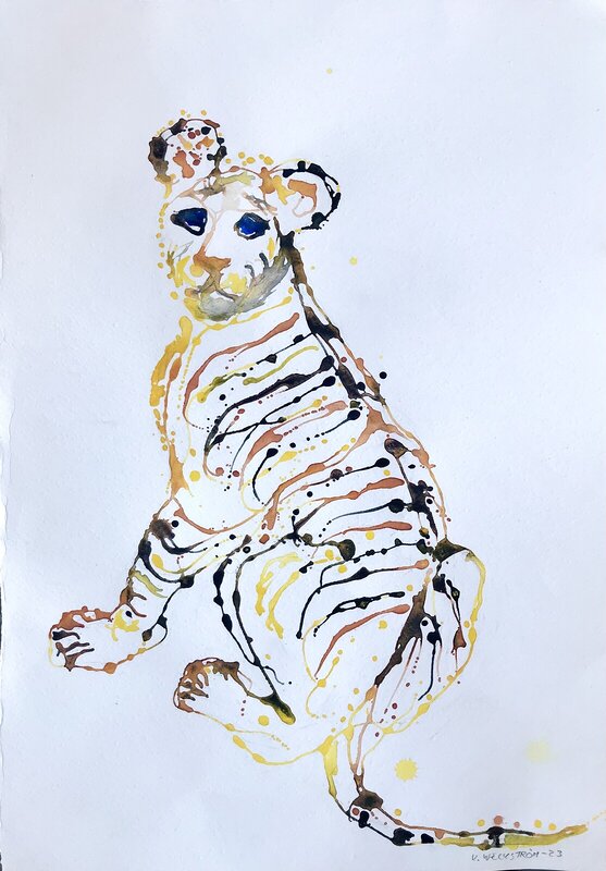 Akvarell Tigerunge. av Ulla Weckström