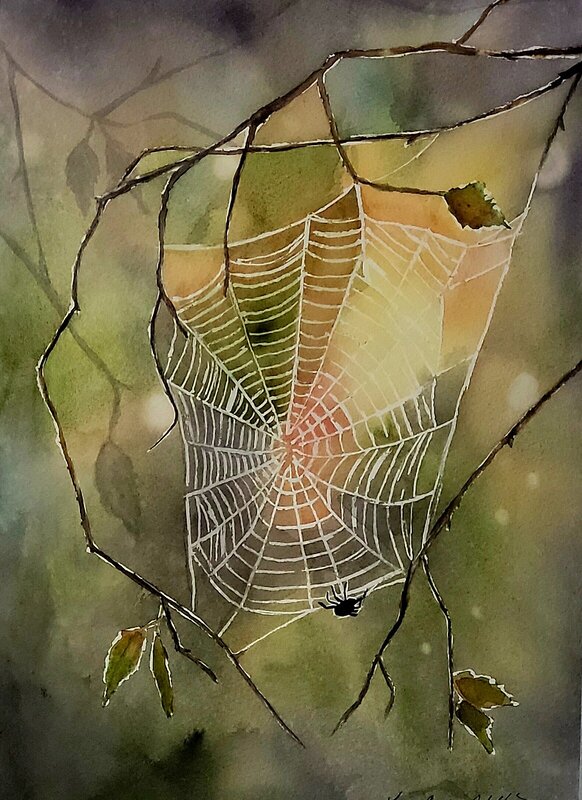 Akvarell Imse vimse spindel av Lena Bovin Adolfsson