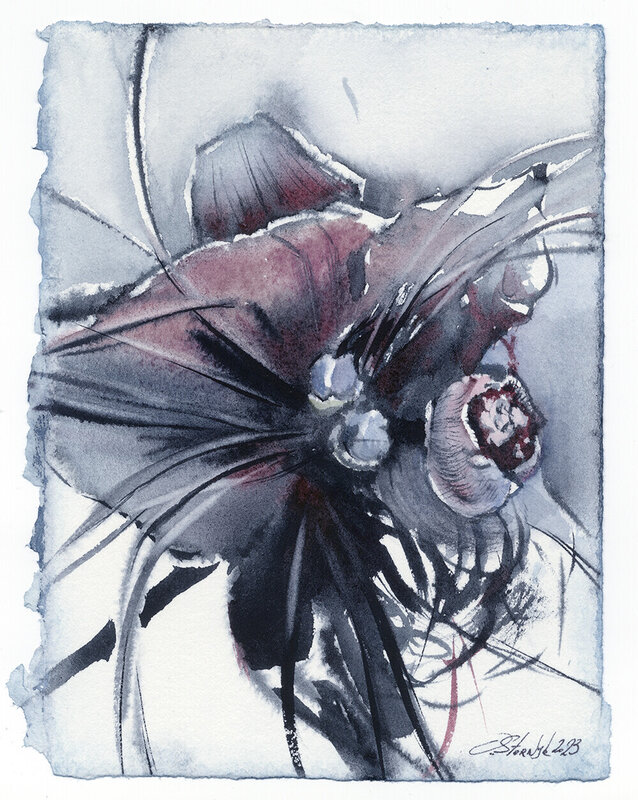 Akvarell Tacca chantrieri. The black bat flower, Olga Sternyk