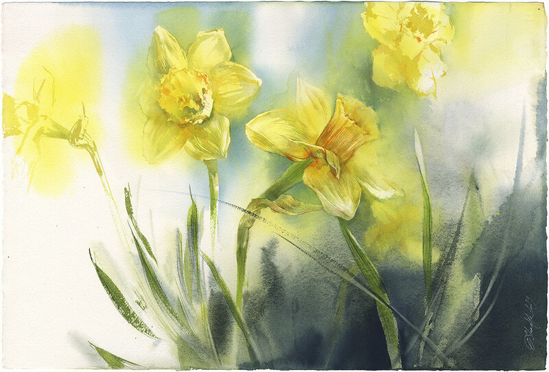 Akvarell Påskliljor. Narcissus, Olga Sternyk