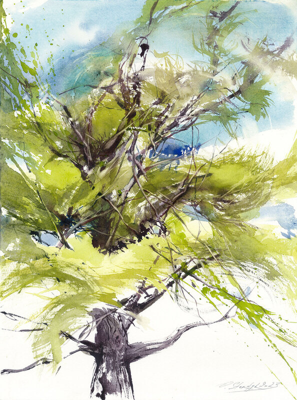 Akvarell Trädet i  Malmö av Olga Sternyk