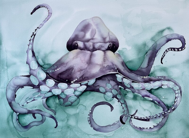 Akvarell Octopus av Katarina Thomassen