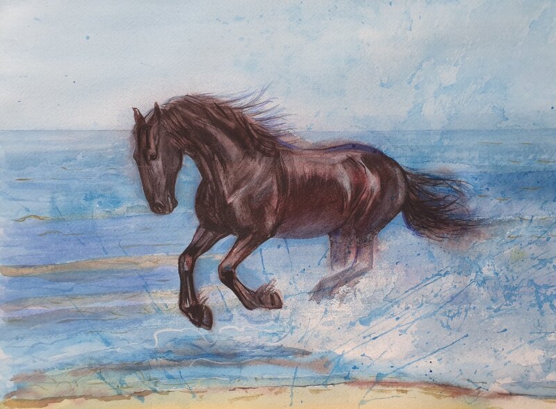 Akvarell Friesian Horse av Olga Brink
