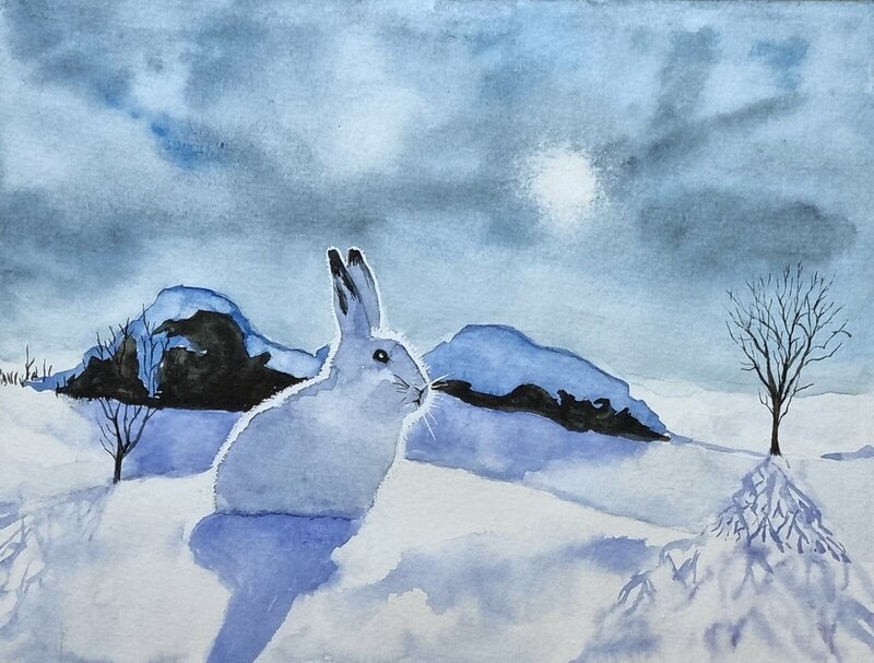 Akvarell Skogshare i snö och kyla av Alicia Bremberg