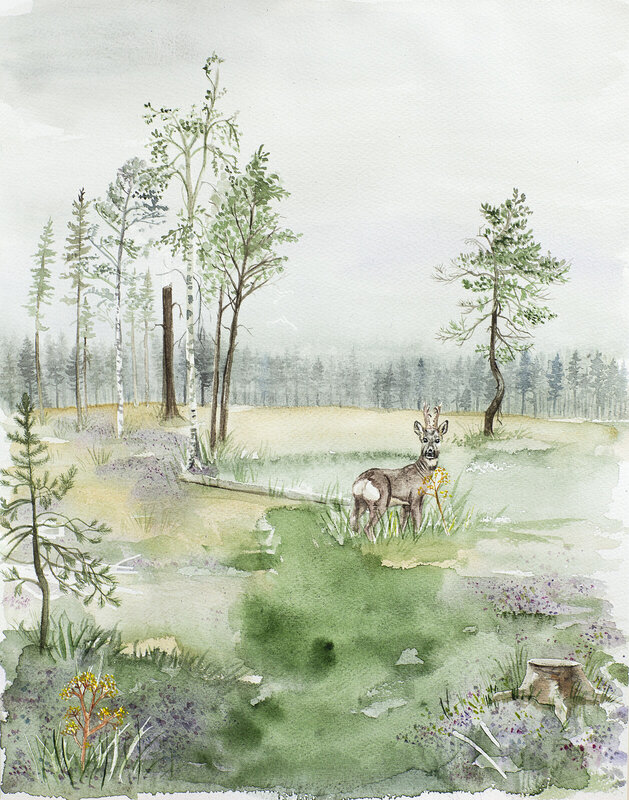 Akvarell Kalhygge med rådjur av Lina Larsson