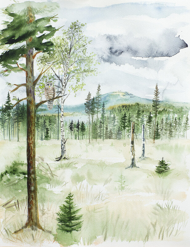 Akvarell Kalhygge med uggla av Lina Larsson