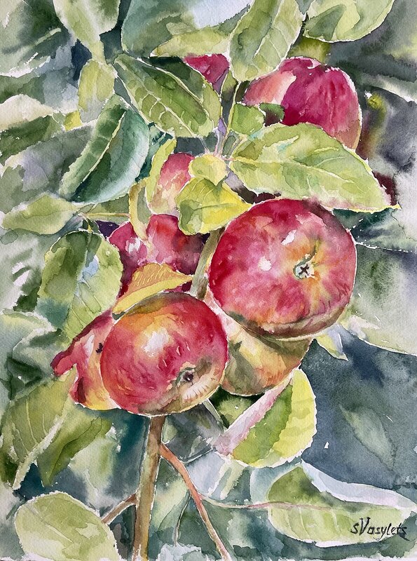 Akvarell Äpple av Svitlana Vasylets