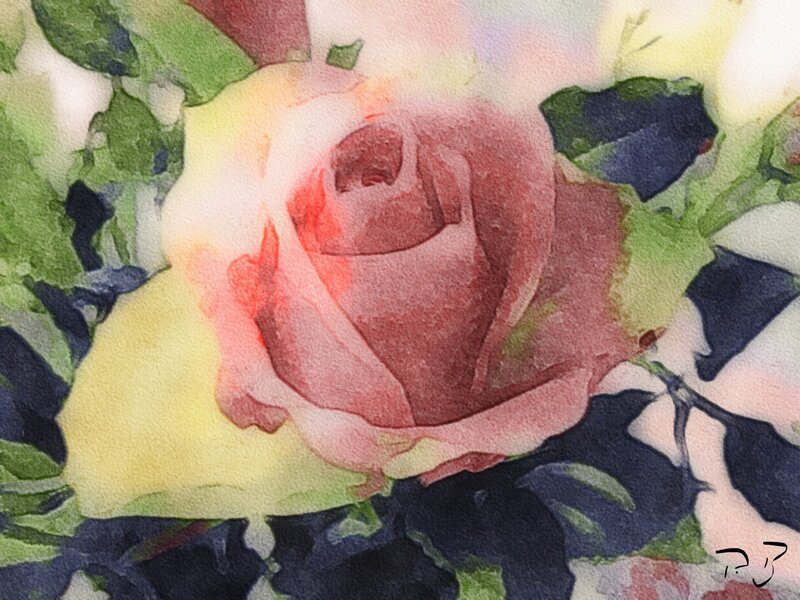 Akvarell Ros av Per Bentley