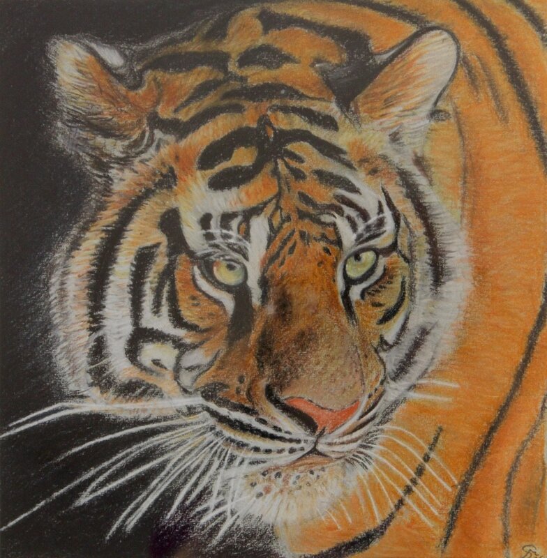Tiger 1, inramad av Stefano Di Marco