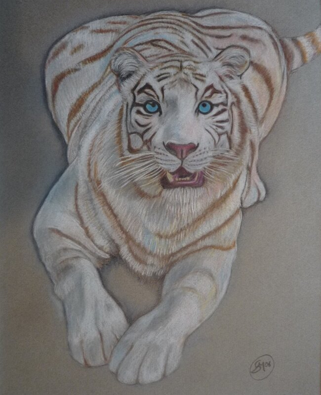 Vit tiger 1 av Stefano Di Marco